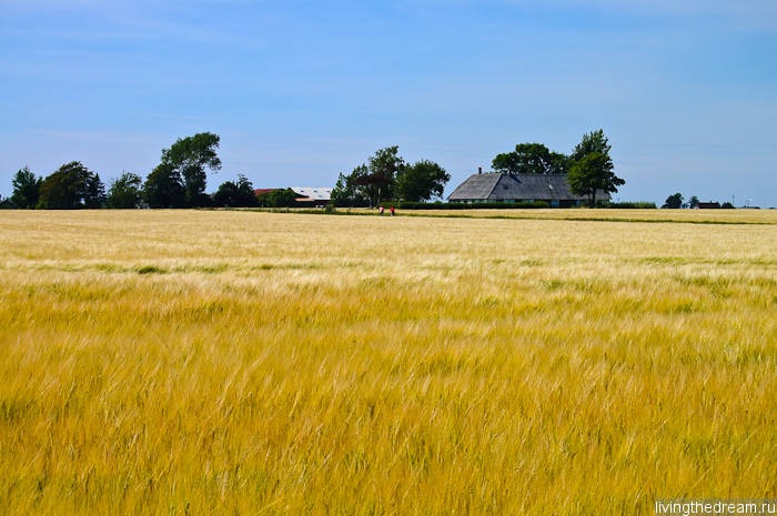 denmark1-001 denmark1-001