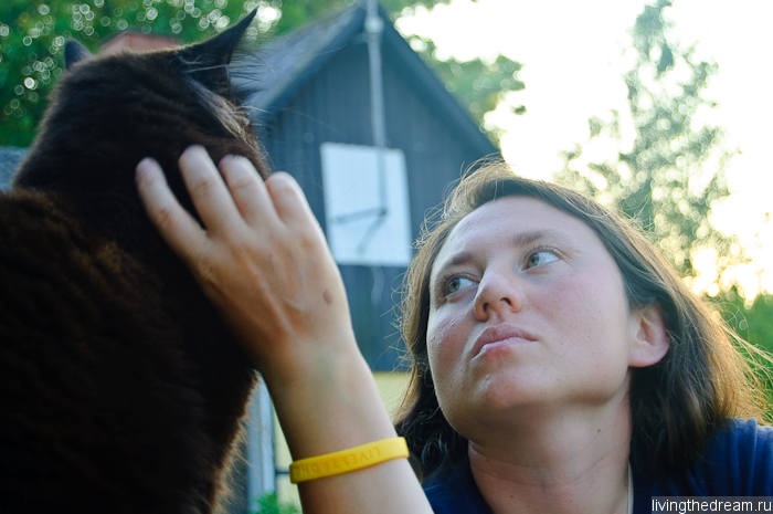 denmark1-018 denmark1-018