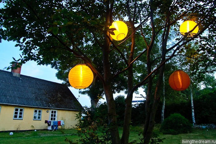 denmark1-019 denmark1-019