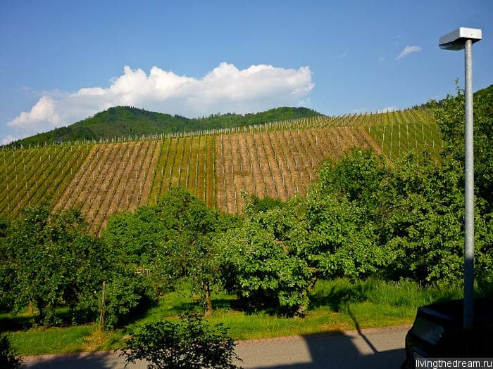 offenburg-048