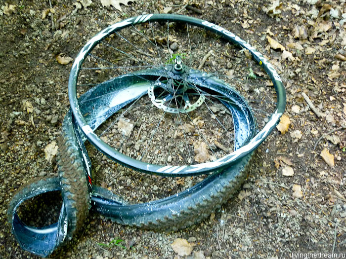 Сломанное колесо Emily Batty